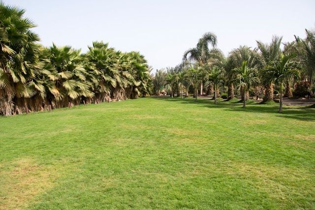 Botanischer Garten & Zoo Viveiro